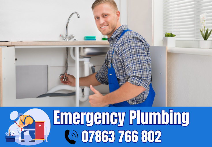  plumber Kingswood
